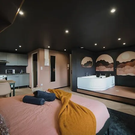 Mile Et Nuit Jacuzzi Privee Situe A 5 Min Du Centre De Place De Stationnement Possible *