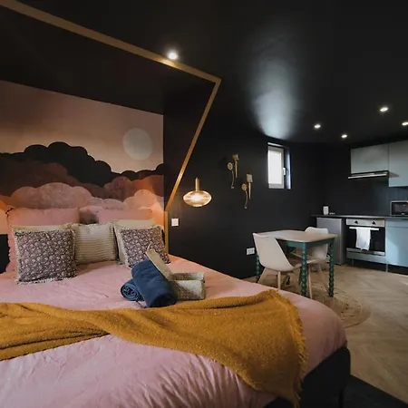 Mile Et Nuit Jacuzzi Privee Situe A 5 Min Du Centre De Place De Stationnement Possible * Mulhouse