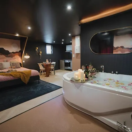 Lejlighed Mile Et Nuit Jacuzzi Privee Situe A 5 Min Du Centre De Place De Stationnement Possible Mulhouse