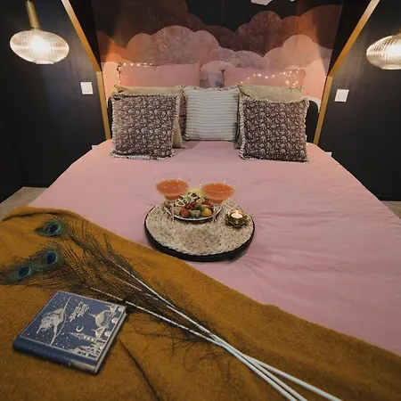 Lejlighed Mile Et Nuit Jacuzzi Privee Situe A 5 Min Du Centre De Place De Stationnement Possible Mulhouse